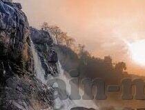 大象传媒免费入口-探索大象传媒的免费资源入口，解锁知识与娱乐的新窗口