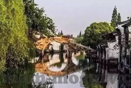 大象传媒视频秘密入口-探索大象传媒视频的独特视角