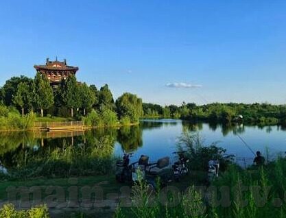 麻豆免费下载app-探究麻豆免费下载APP，便捷与风险的边缘漫步
