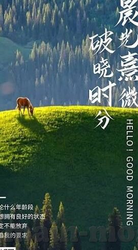 无极色一区二区-探索无极色一区二区的多元魅力