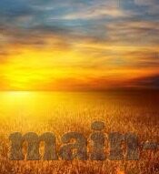 无需播放器的成人免费视频-探索成人娱乐的便捷新境界，无需播放器的免费视频体验