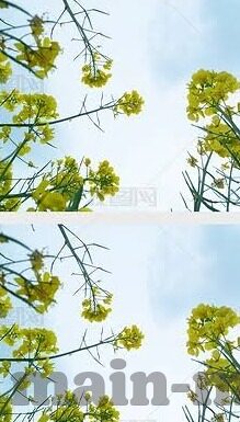 在线观看91麻豆-数字化世界的窗口，体验在线观看91麻豆的多元化价值